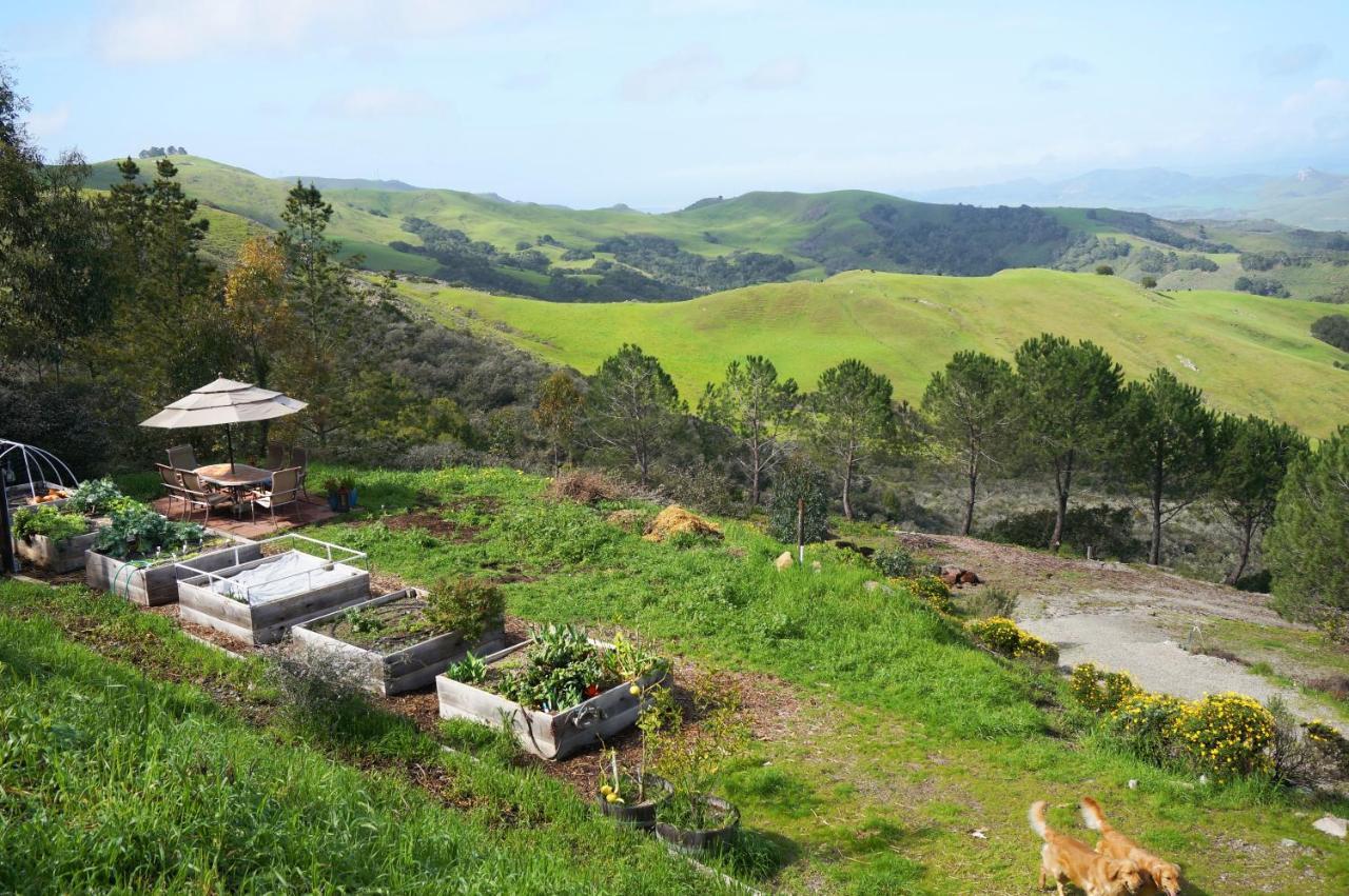 Mountain Top Getaway, Best View In Slo! - Whole House 샌 루이스 오비스포 외부 사진