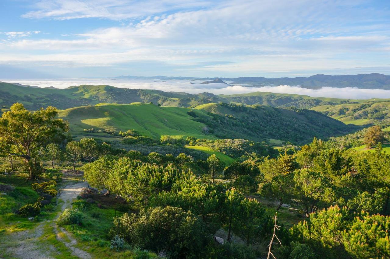 Mountain Top Getaway, Best View In Slo! - Whole House 샌 루이스 오비스포 외부 사진